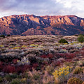 The Royal Colors of the Sandias