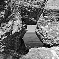 Through Madman's Window by Steven Nelson