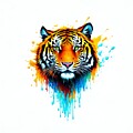Tiger Splash