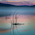 Frozen Reeds at Dawn - Eagle Lake - Lassen County California by Mike Lee