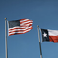 United States and Texas Flags by Mary Lee Dereske