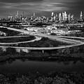 Urban Roost Egrets Beneath the Manhattan Skyline BW by Susan Candelario