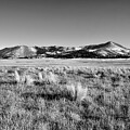 Valles Caldera National Preserve New Mexico by Mary Lee Dereske
