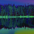 Vibrant Forest Reflection at Dusk Digital Art by Bruce Block
