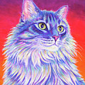 Vibrant Longhaired Gray Tabby Cat
