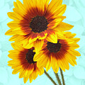 Vibrant Sunflower Trio