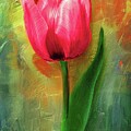 Vibrant Tulip in Full Bloom
