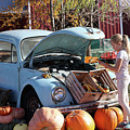 VW With Pumpkins by Robert Allen Hill