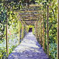 Walkway Pergola in Culpeper Community Gardens Islington London by Francisco Gutierrez