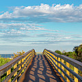 Walkway to Beach by Michael Warren