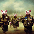 War Pigs