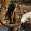 Wash Behind Those Ears by Jean Noren