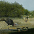 Water Hole