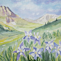 Watercolor - Handie's Peak Landscape with Blue Columbine