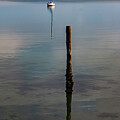 Whidbey Island Reflection by Barbara Siegel