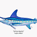 White Marlin Profile by Mark Ray
