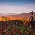 White Mountain Autumn Vista