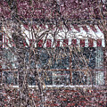 Window Behind Branches in Heavy Snow by Tatiana Travelways