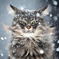 Winter Cat in The Snow