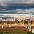 Winter Orchard with Snowy Mountains - New Mexico