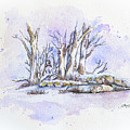 Winter Woods Watercolor by Shirley Dutchkowski