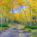 Yellow leaf Road by Jim E Johnson