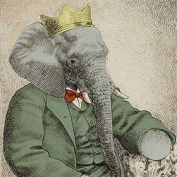 Shop for Illustrations